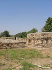 Dharmarajika Stupa And Monastery