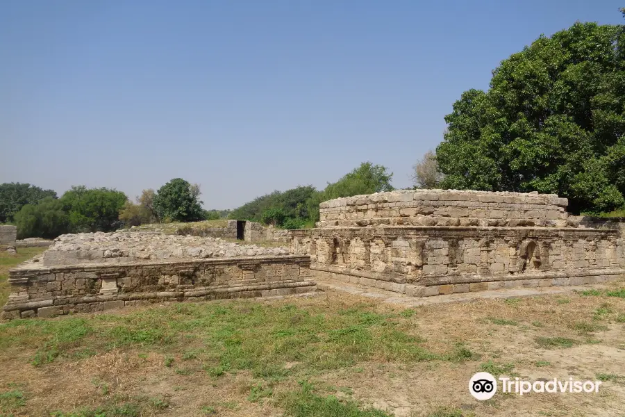 Dharmarajika Stupa And Monastery