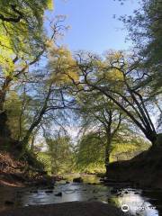 The Devil's Pulpit