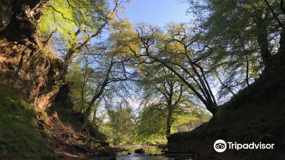 The Devil's Pulpit