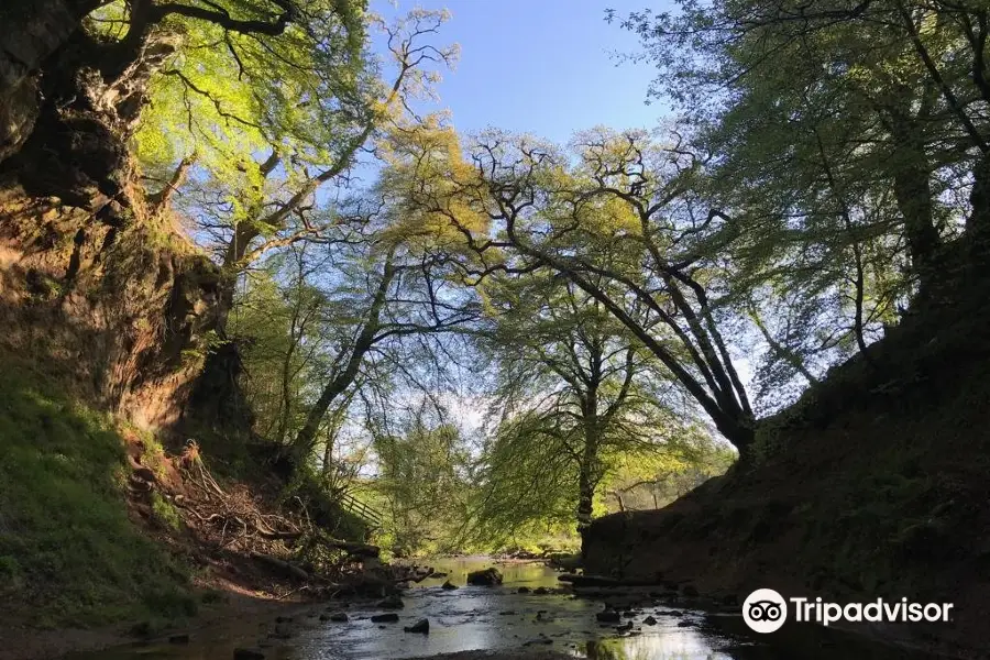 The Devil's Pulpit