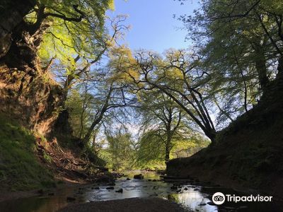 The Devil's Pulpit