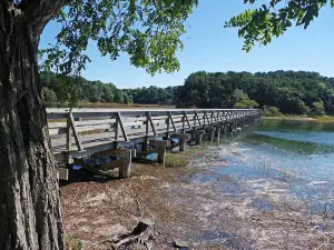 Uncle Tim's Bridge