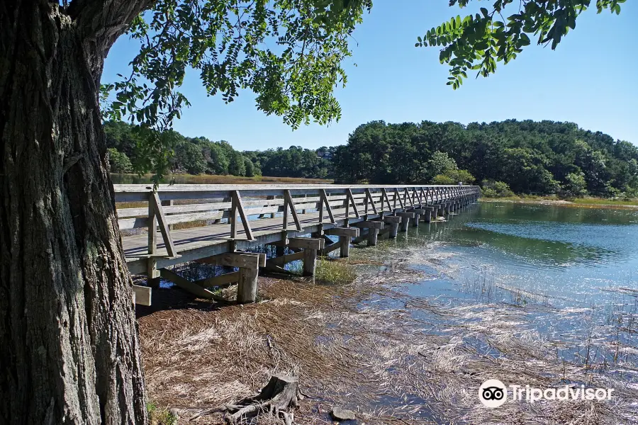 Uncle Tim's Bridge