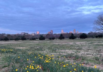 Dorothea Dix Park