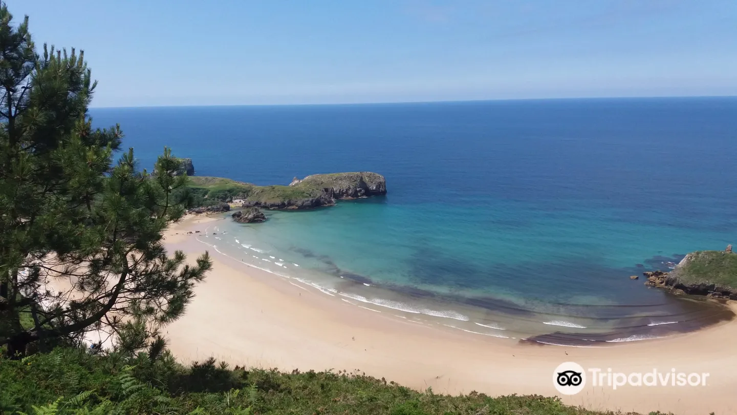 5_Playa de Torimbia