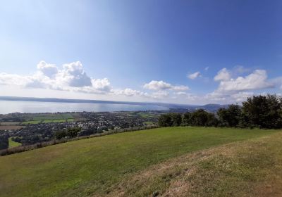 Knockagh Monument