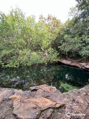 Cenote Aerolito de Paraiso