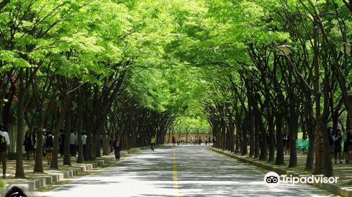 인천대공원