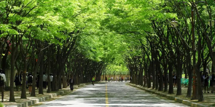 Namdong-gu Travel Guide 2026: Top Attractions, Things to Do & Deals |  Trip.com | June 2026