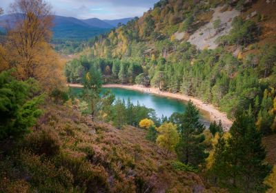 Aviemore