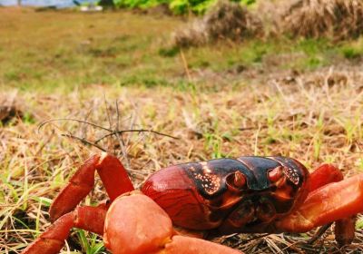 Национальный парк Остров Рождества