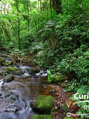 Reserva Curi Cancha, Monteverde