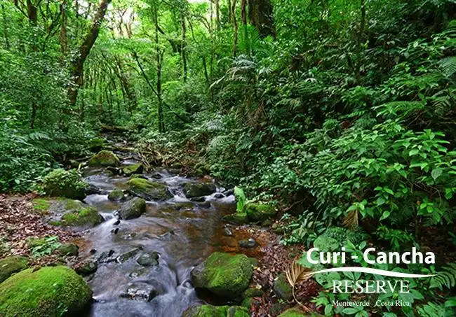 Hotels near Curi-Cancha Reserve