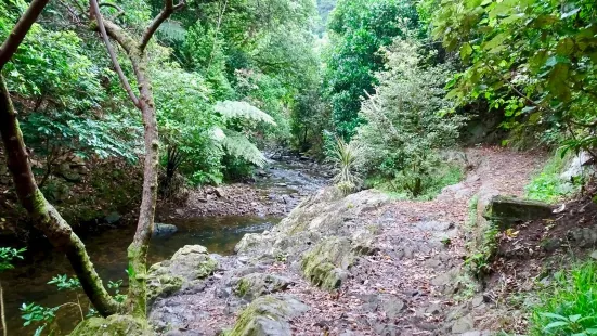 威靈頓城市步道