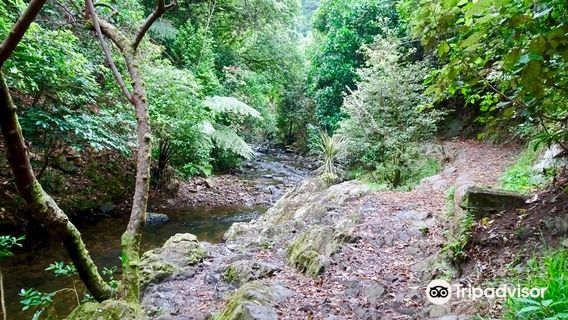 Wellington City Walkways