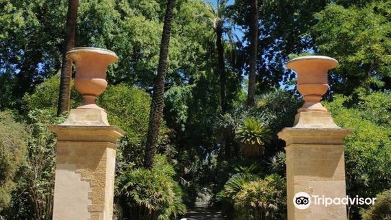 Orto Botanico di Palermo