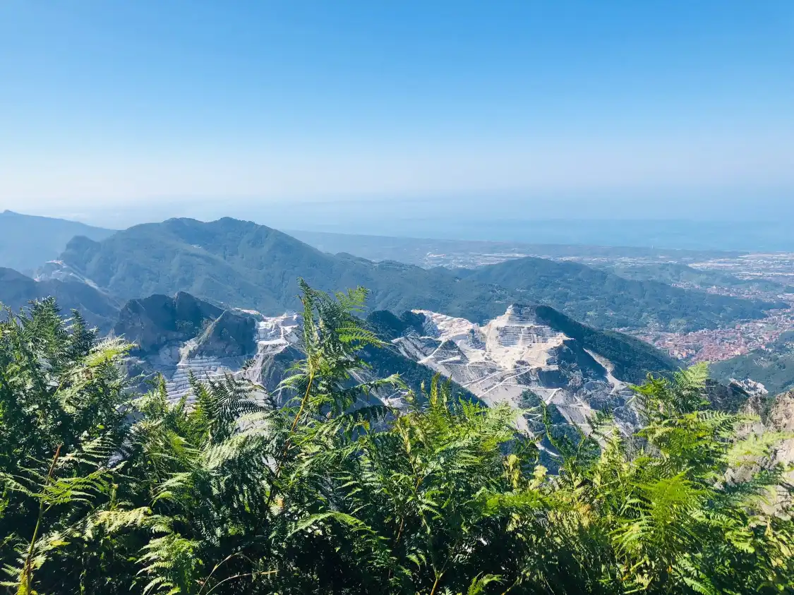 Hotels near Campocecina