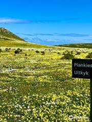 West Coast National Park