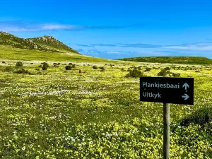 West Coast National Park