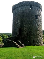 Orchardton Tower