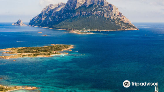 Marine Protected Area of ​​Tavolara - Punta Coda Cavallo