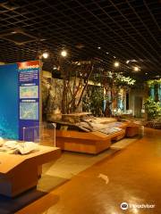 가고시마 현립 박물관