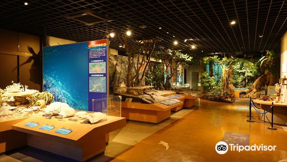 Kagoshima Prefectural Museum