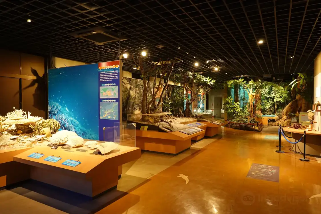 Các khách sạn gần Kagoshima Prefectural Museum