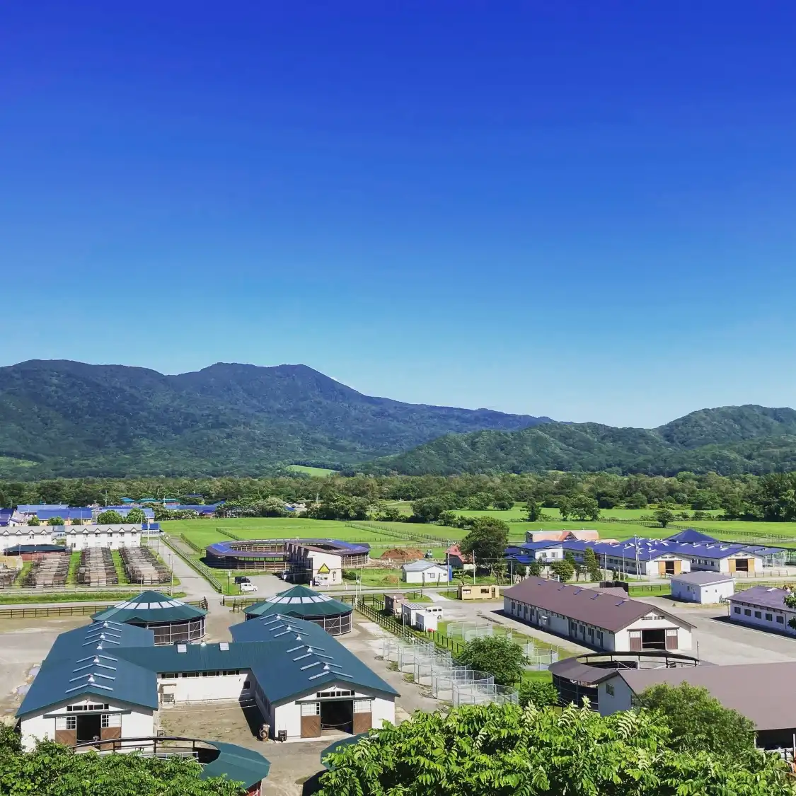 Hotels near Racing Horse Grazing Farm