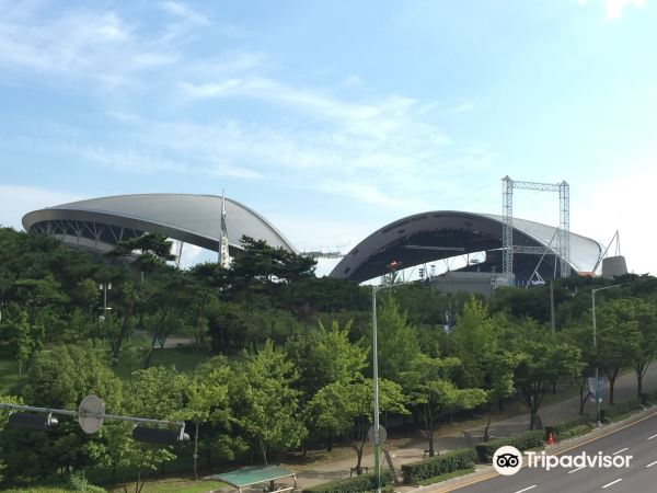 World Cup Stadium