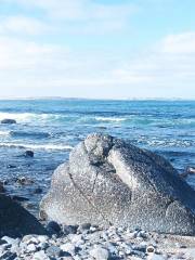 Orbicular Granite Nature Sanctuary