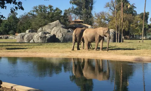 Fresno Chaffee Zoo