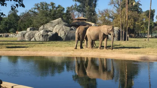 弗雷斯諾查菲動物公園