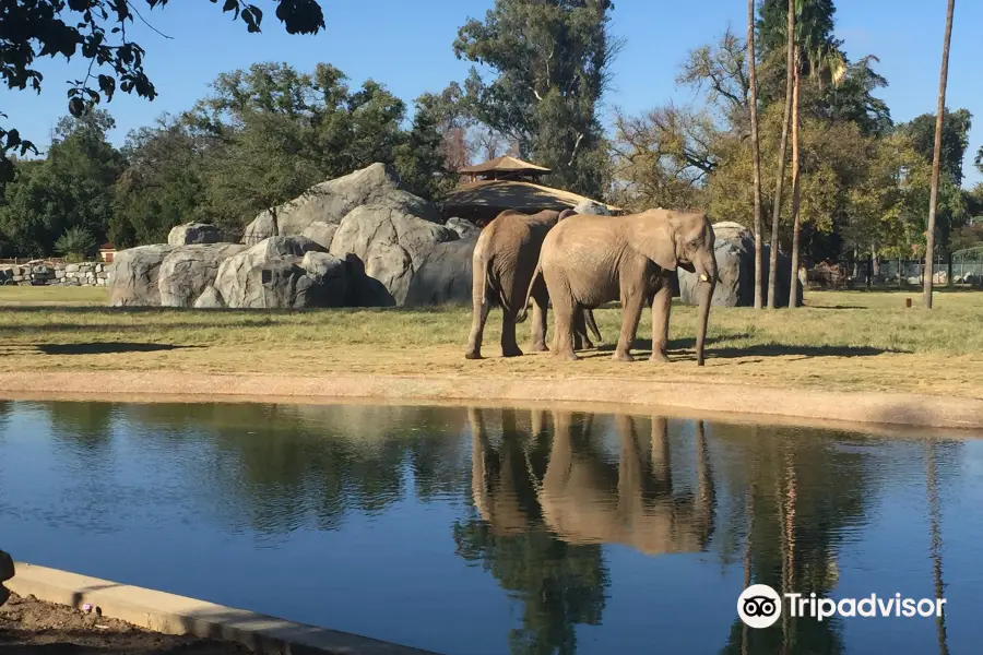 弗雷斯諾查菲動物公園