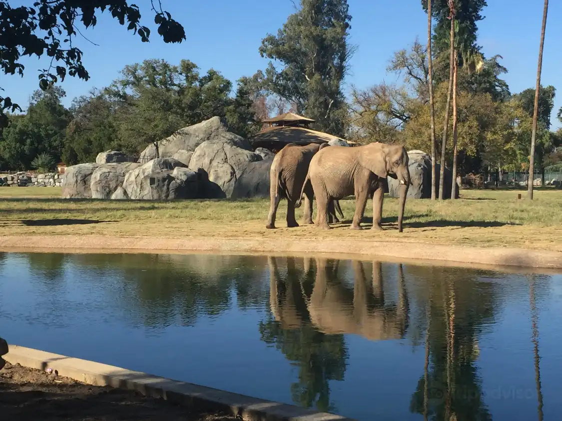 Hotels near Fresno Chaffee Zoo