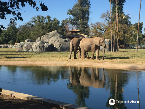 Fresno Chaffee Zoo