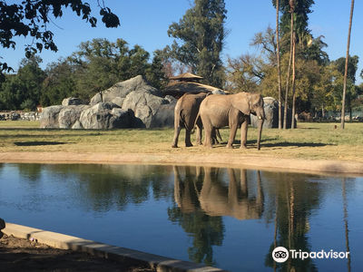 Fresno Chaffee Zoo