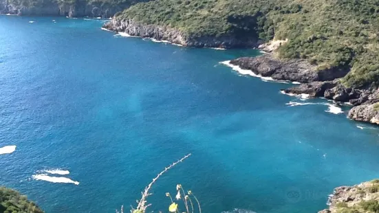 Area Marina Protetta Costa degli Infreschi e della Masseta