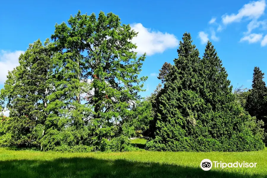 Botanischer Garten