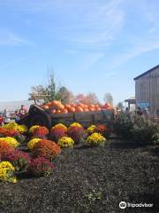 Snyder's Family Farm