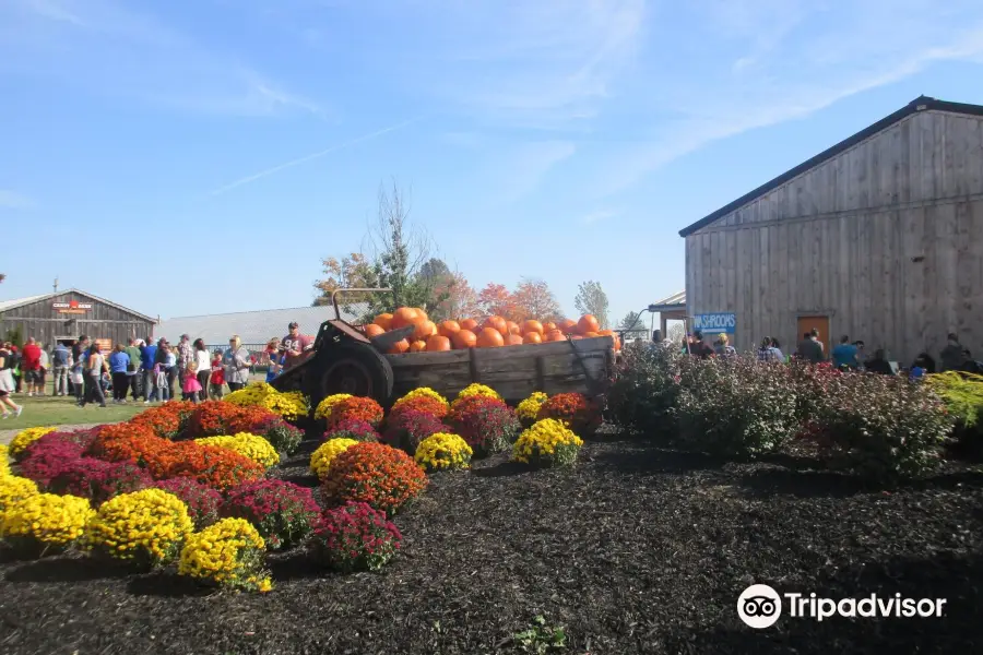 Snyder's Family Farm