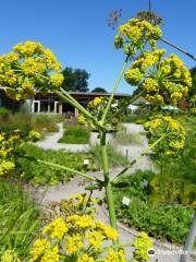 De Kruidhof | Hortus van Fryslân