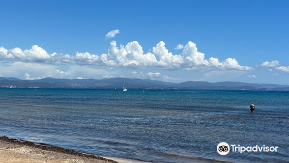 Beach La Bergerie