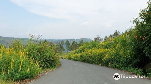 Bukit Gajah Bobok