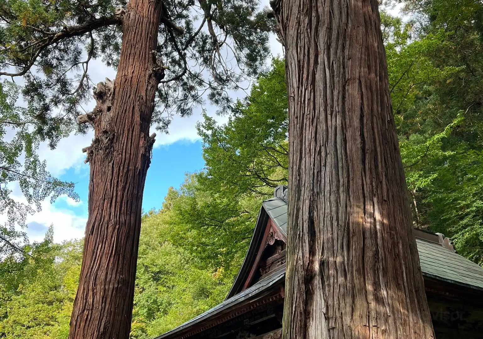 Hotels near Iimori Hill