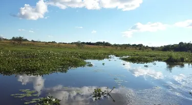 San Martin Department