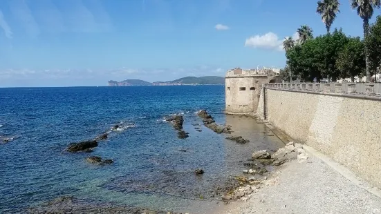 Museo Archeologico della Citta di Alghero