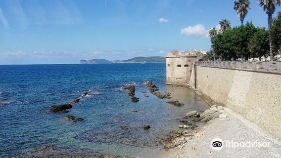 Museo Archeologico della Citta di Alghero