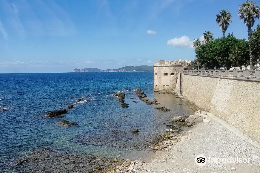 Museo Archeologico della Citta di Alghero